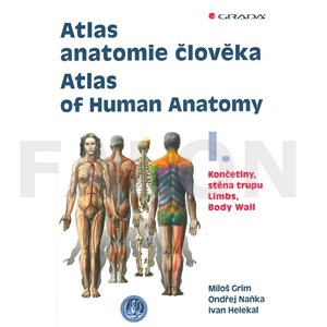 Atlas anatomie člověka 